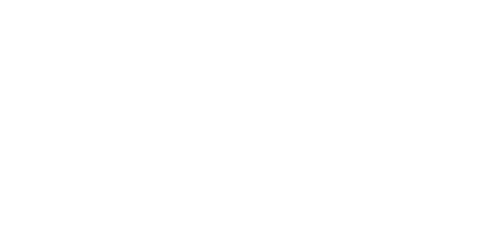 Dioko Logo